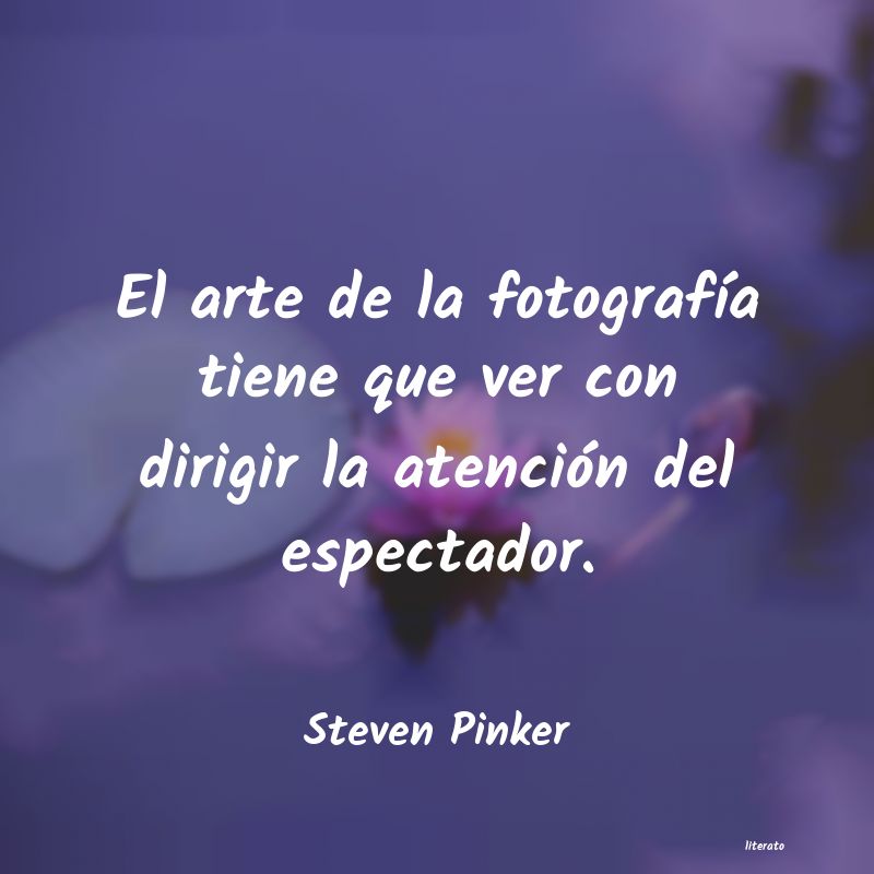 Frases de Steven Pinker