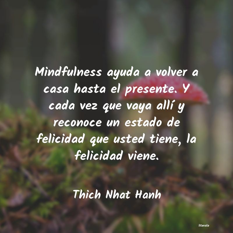 Frases de Thich Nhat Hanh