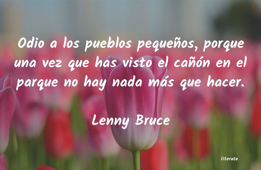 Frases de Lenny Bruce