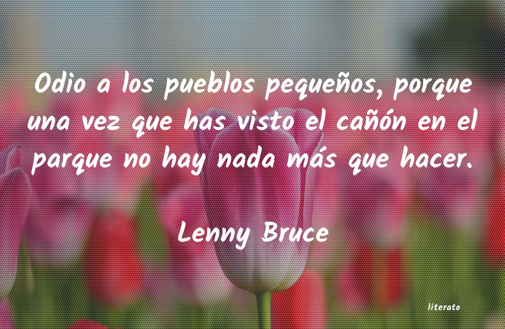 frases de Lenny Bruce