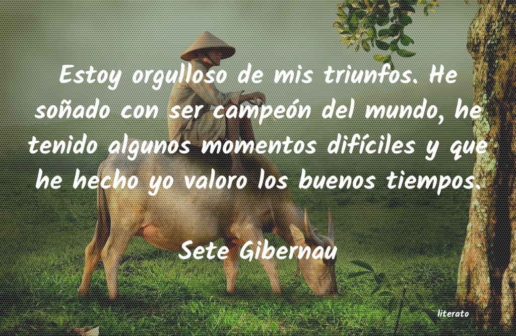 Frases de Sete Gibernau