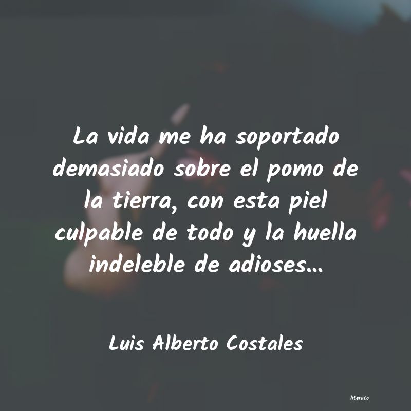 Frases de Luis Alberto Costales