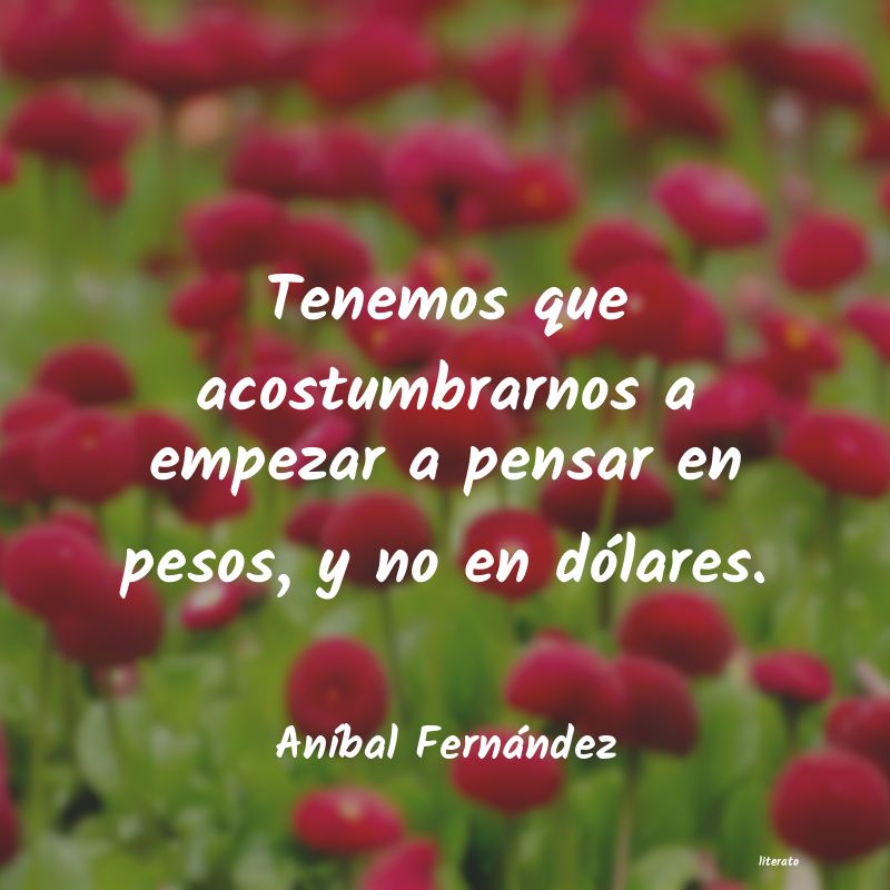 frases de AnÃbal Fernández