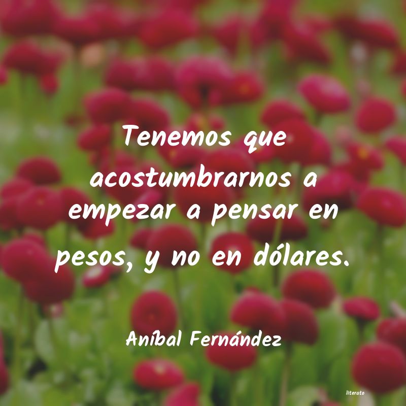 Frases de Aníbal Fernández