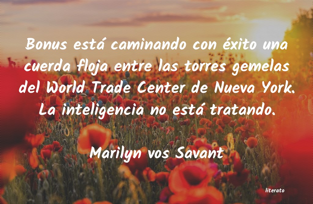 Frases de Marilyn vos Savant