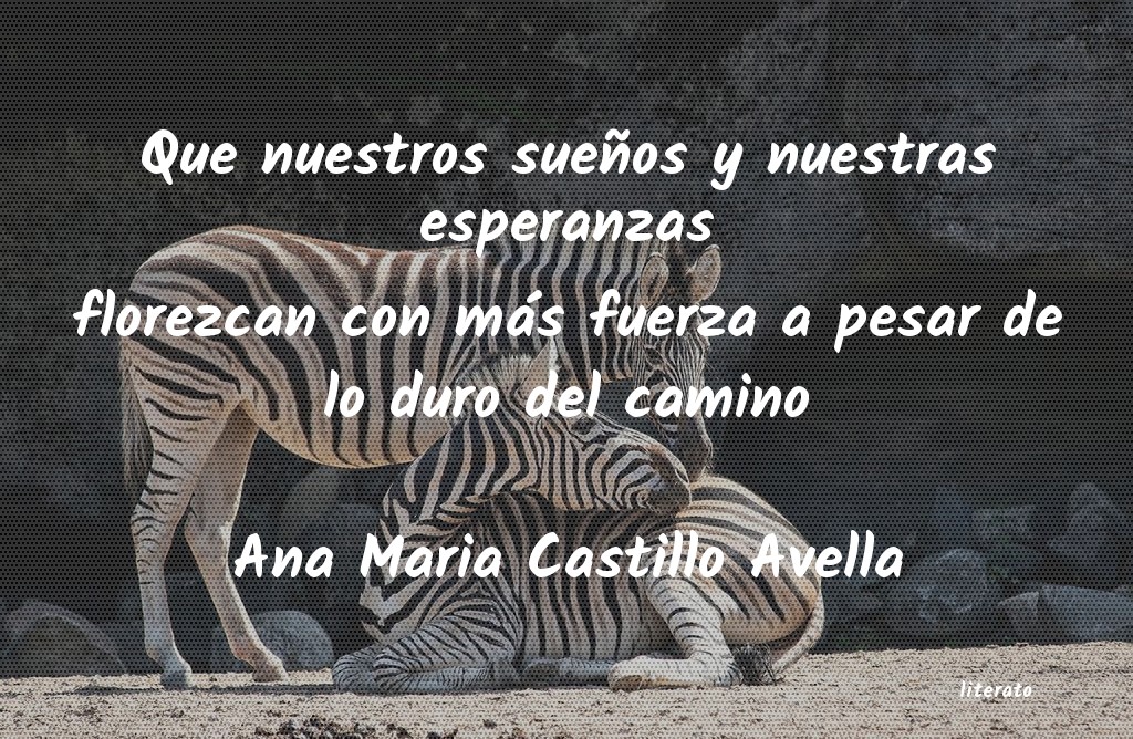Frases de Ana Maria Castillo Avella