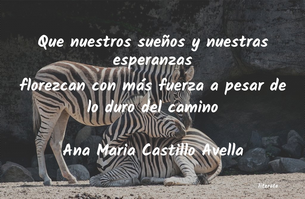 frases de Ana Maria Castillo Avella