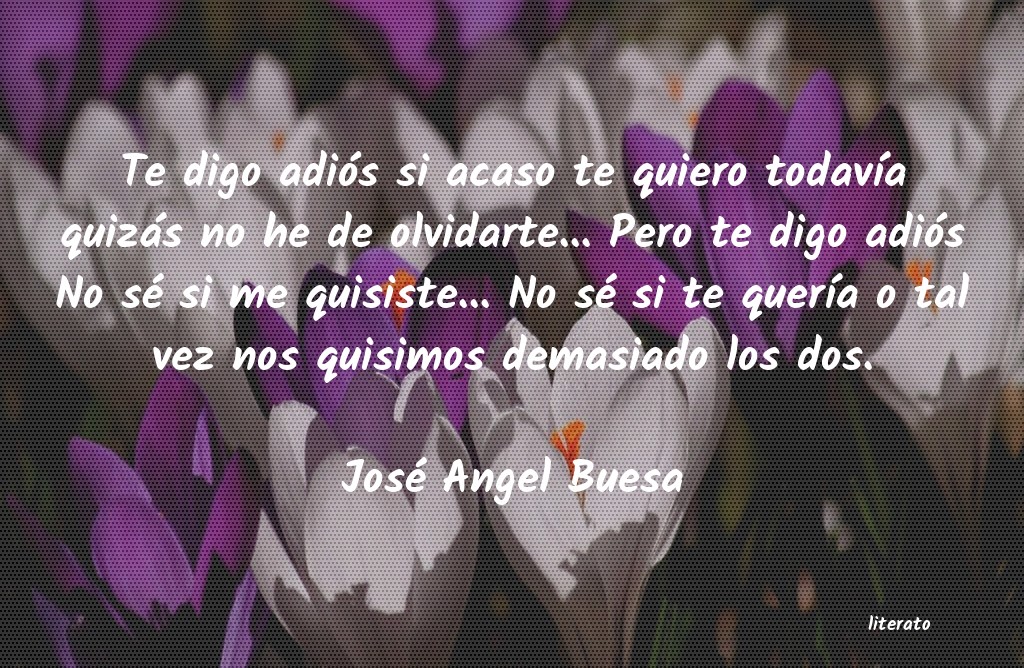 Frases de José Angel Buesa