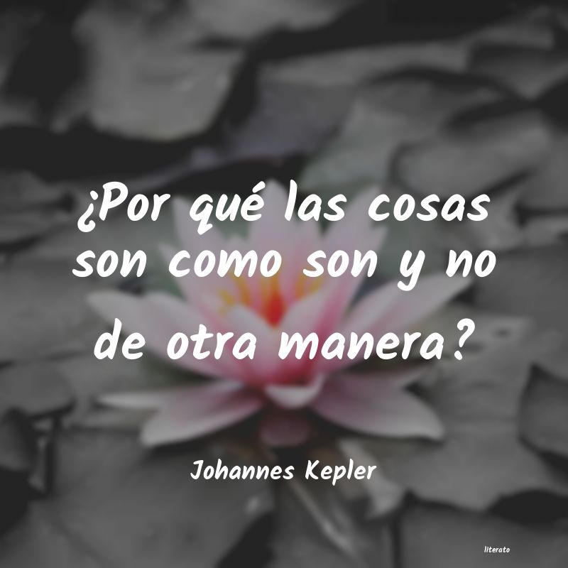 Frases de Johannes Kepler