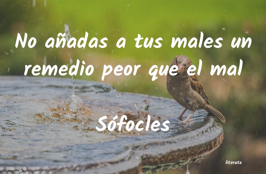 frases de Sófocles