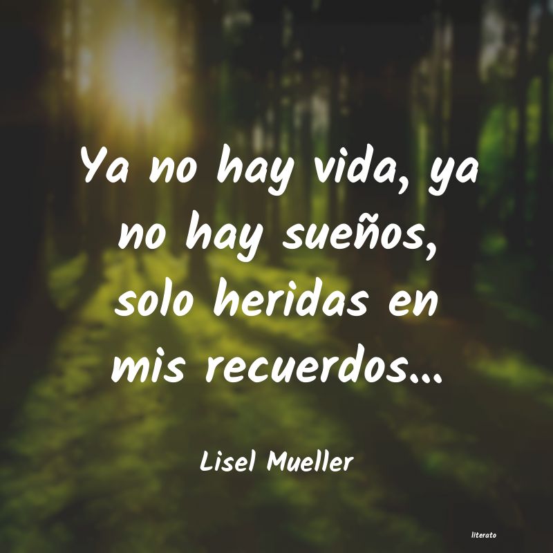 frases de Lisel Mueller