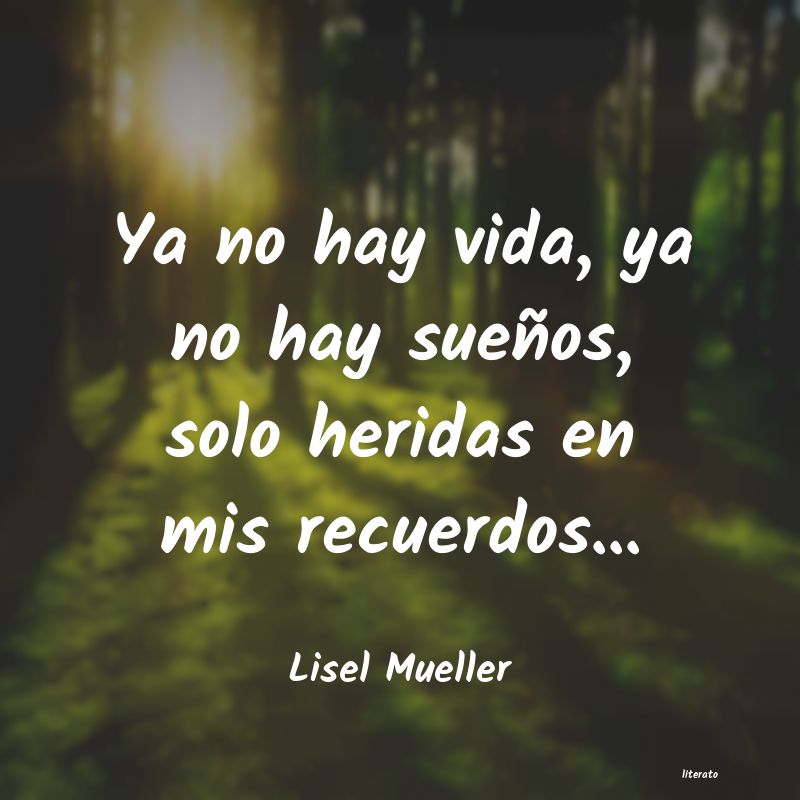 Frases de Lisel Mueller