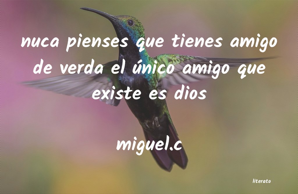 Frases de miguel.c