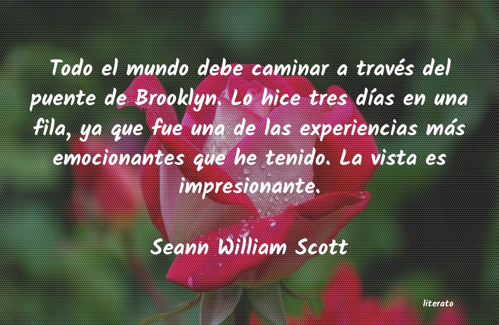 frases de Seann William Scott