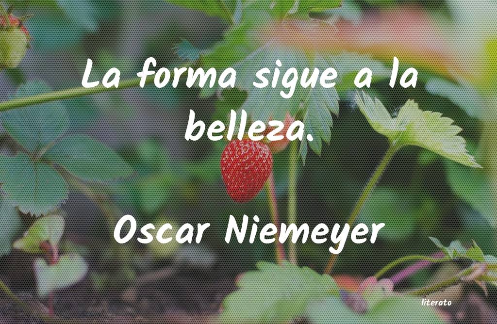 frases de Oscar Niemeyer