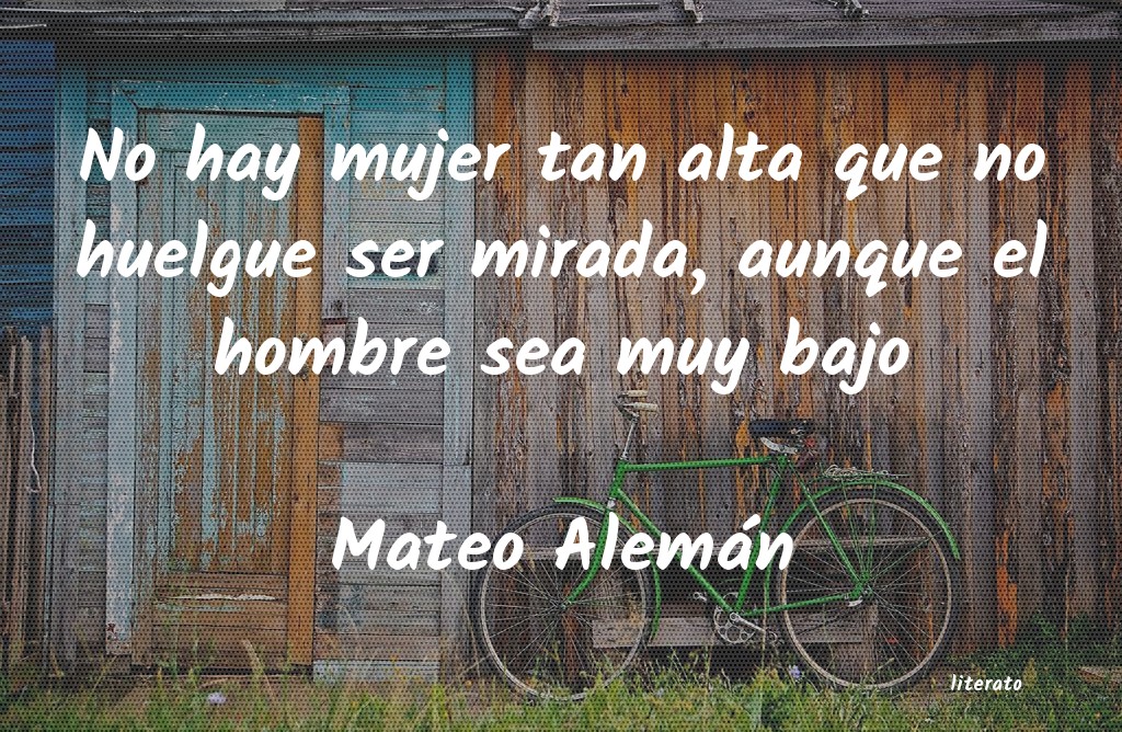 Frases de Mateo Alemán