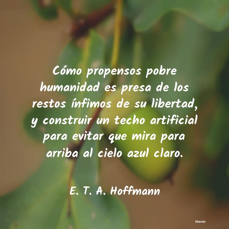 Frases de E. T. A. Hoffmann