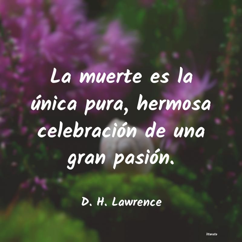 Frases de D. H. Lawrence