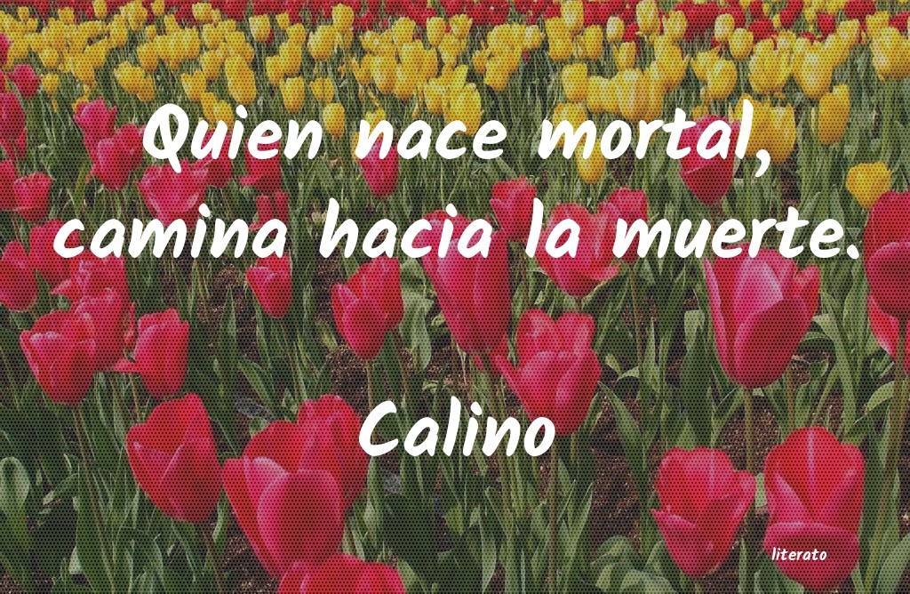 Frases de Calino