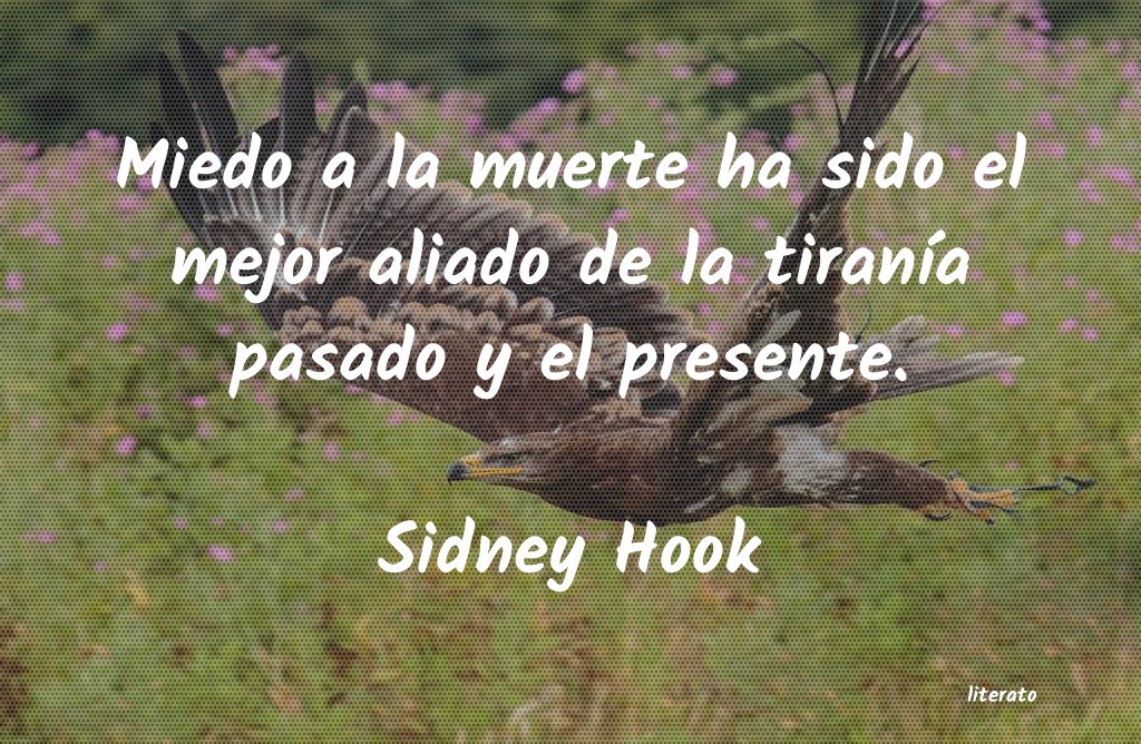 Frases de Sidney Hook
