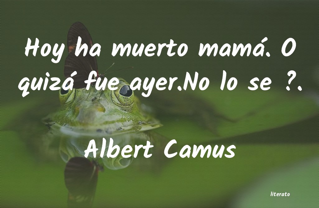 frases de Albert Camus