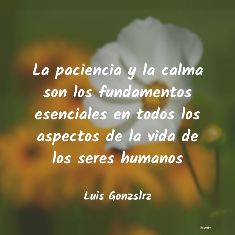 Frases de Luis Gonzslrz