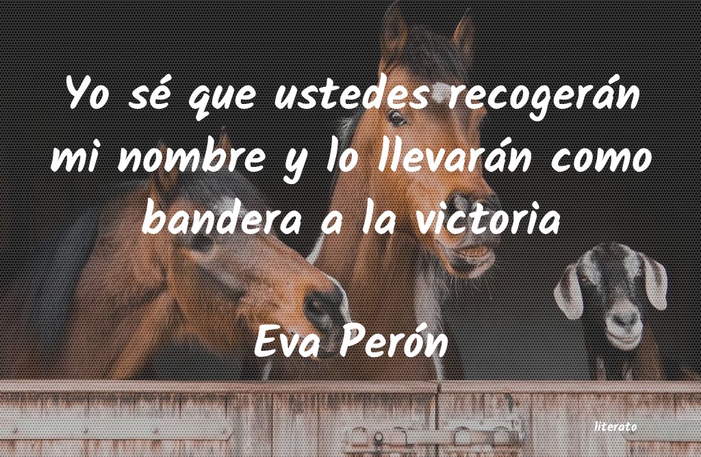 crear bandera