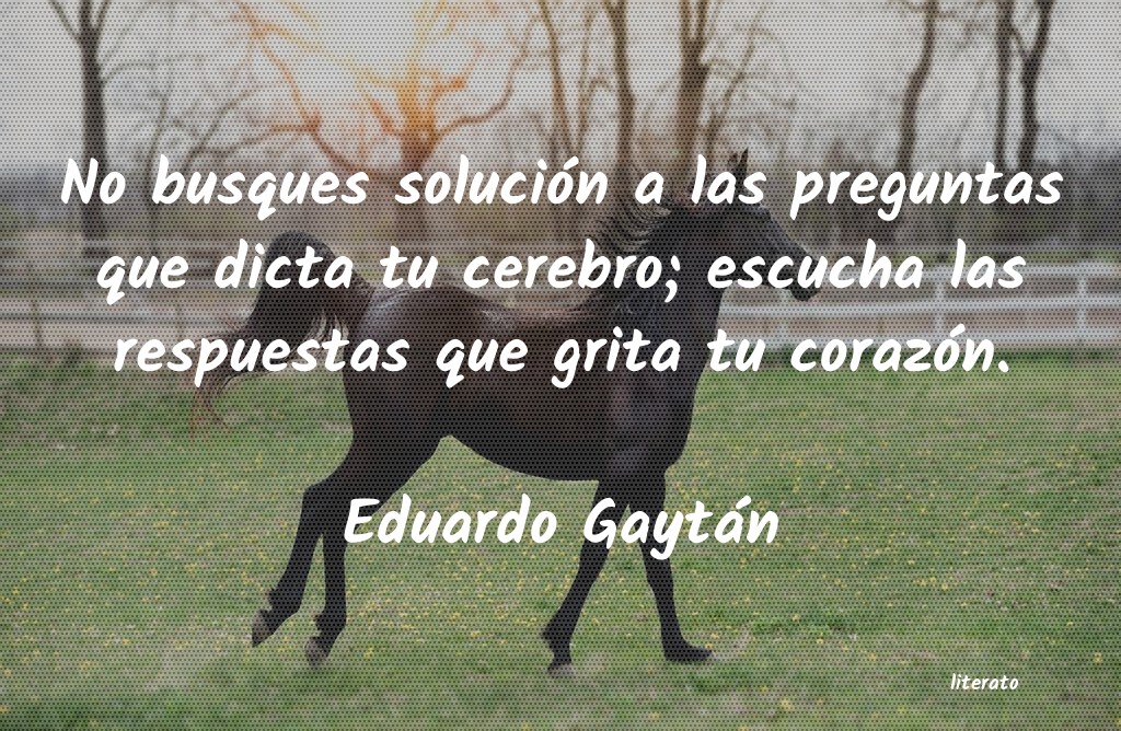 Frases de Eduardo Gaytán