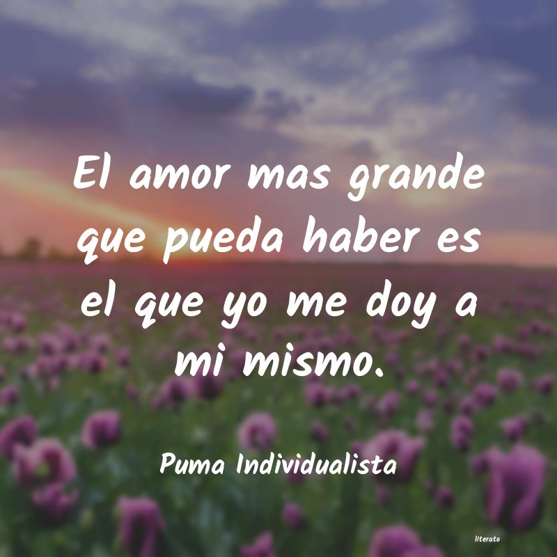 frases de Puma Individualista