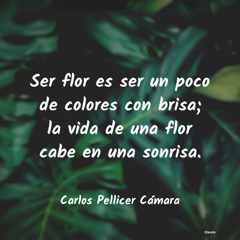 Frases de Carlos Pellicer Cámara