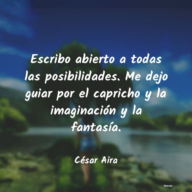 Frases de César Aira