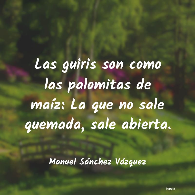 frases de Manuel Sánchez Vázquez