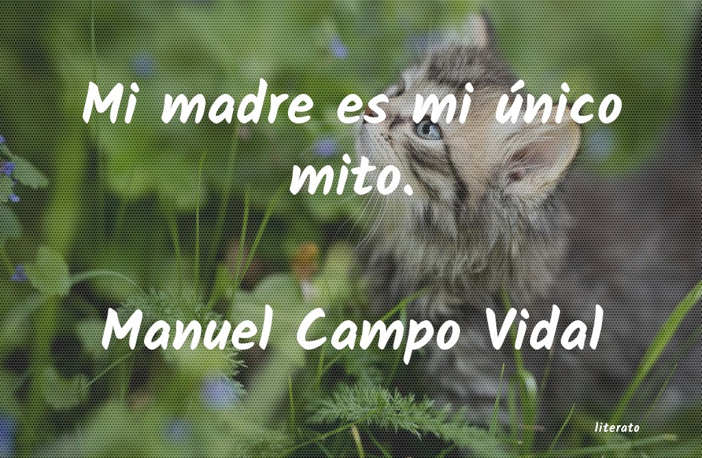 frases de Manuel Campo Vidal