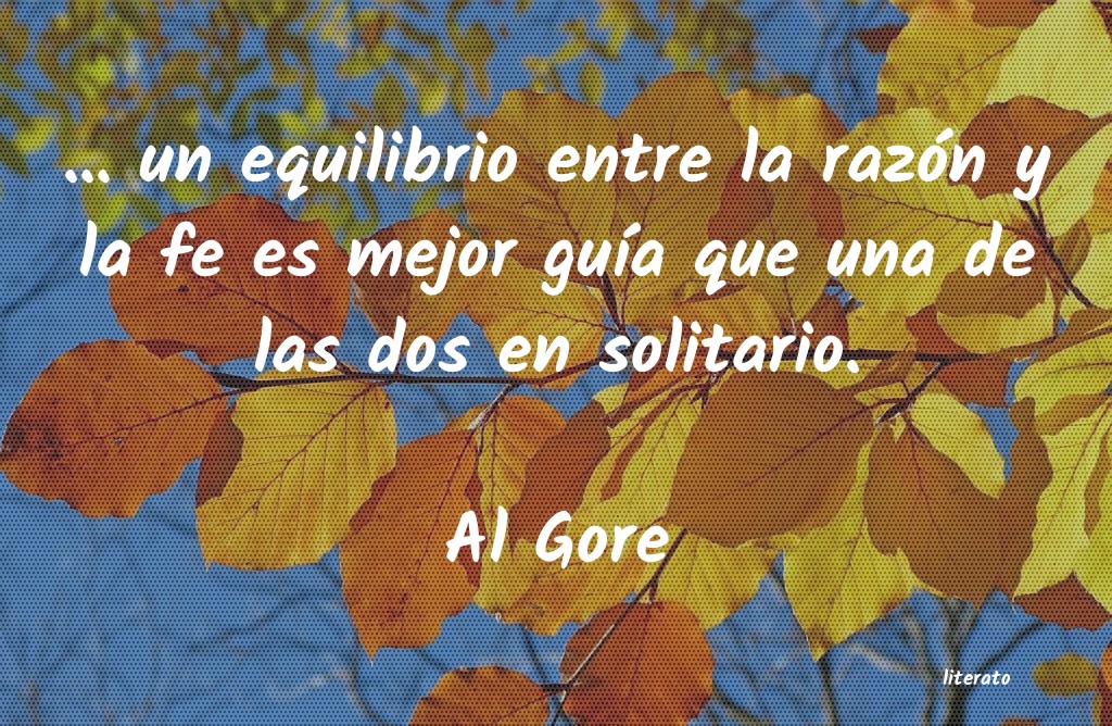 Frases de Al Gore