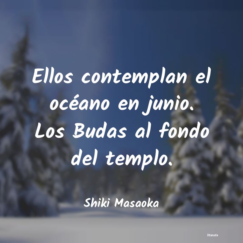 Frases de Shiki Masaoka