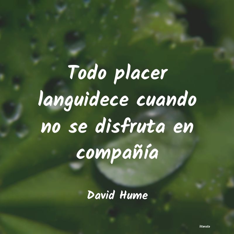 Frases de David Hume