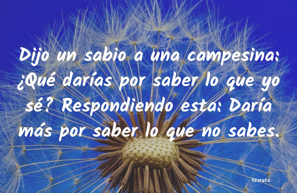 frases