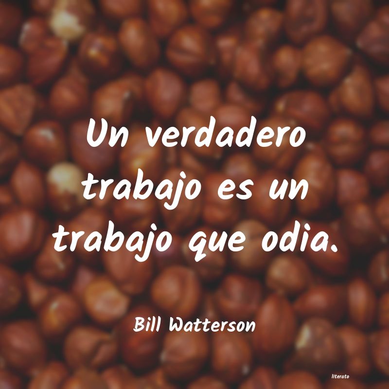 frases de Bill Watterson