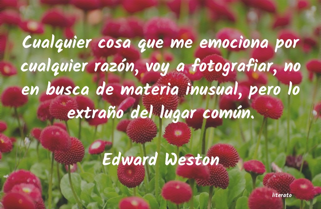 Frases de Edward Weston