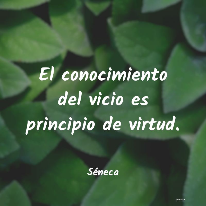 vicio ciceron