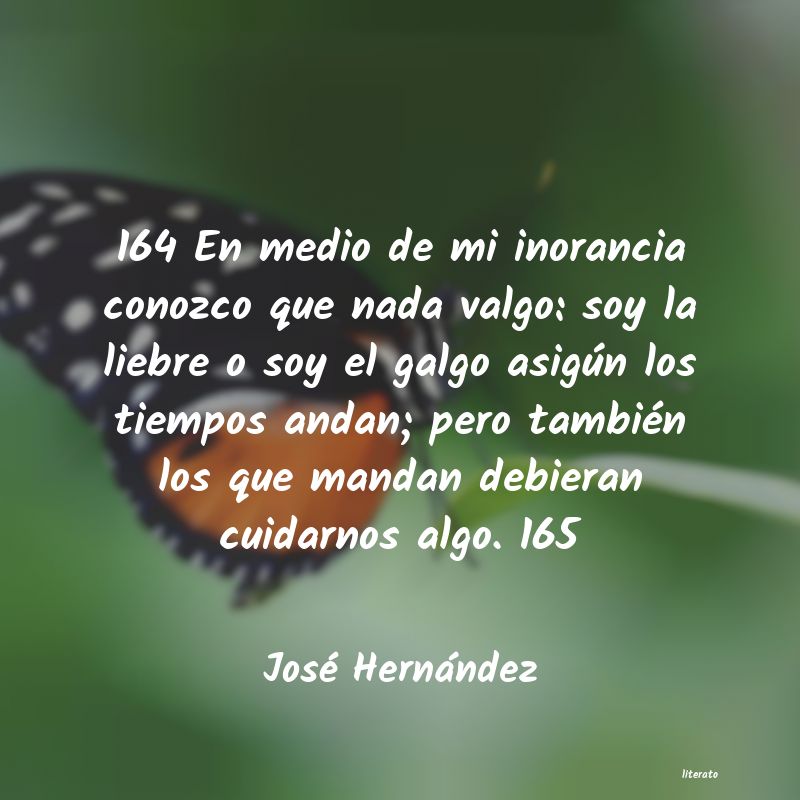 frases de José Hernández