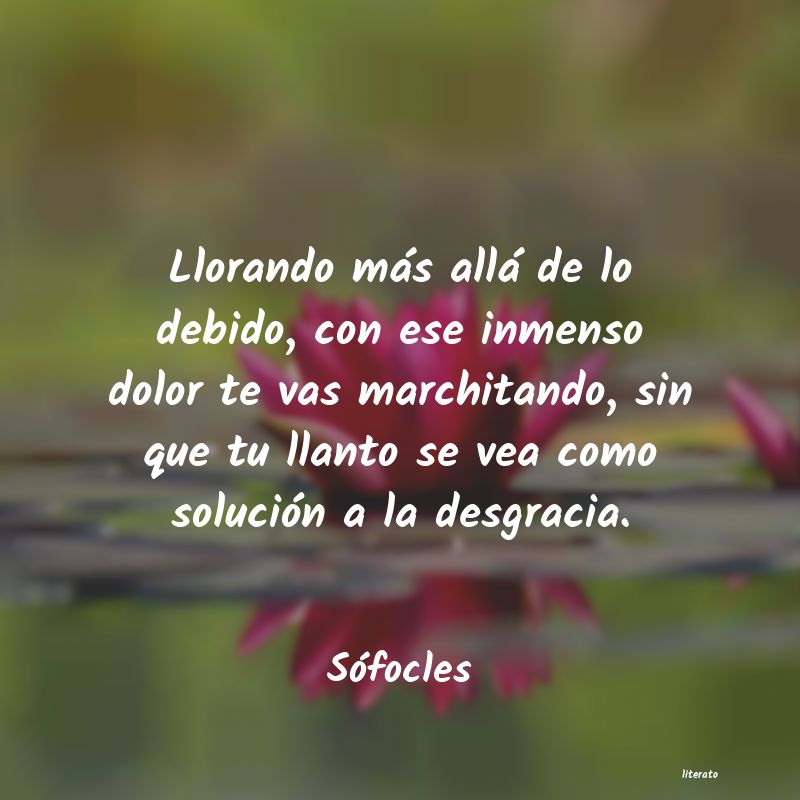 frases de Sófocles