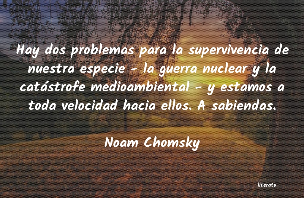 Frases de Noam Chomsky