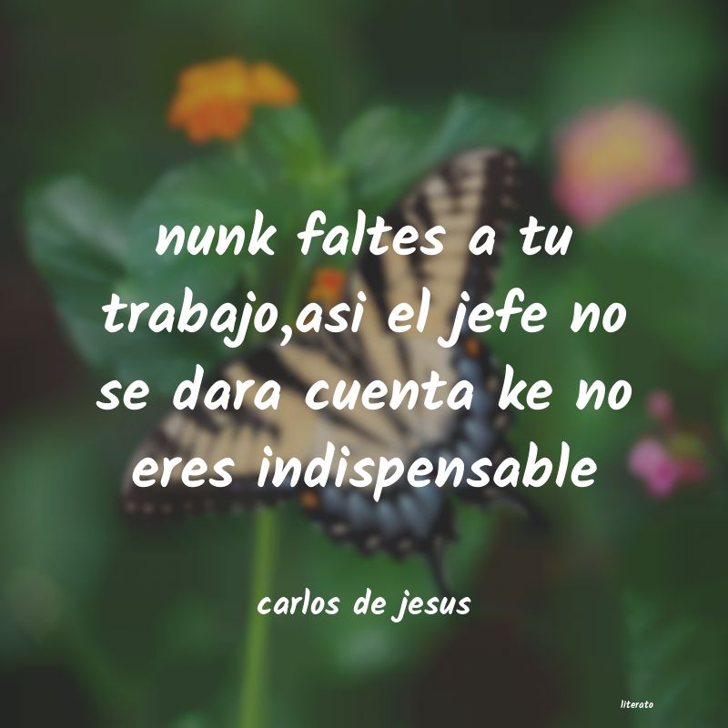 Frases de carlos de jesus