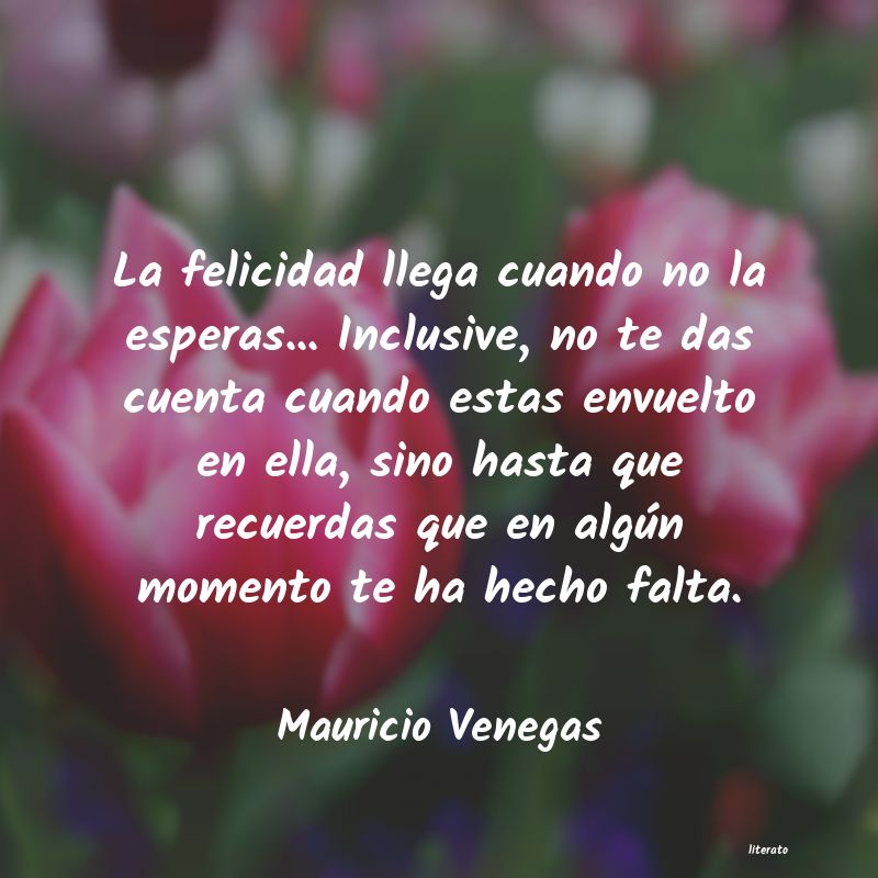 Frases de Mauricio Venegas