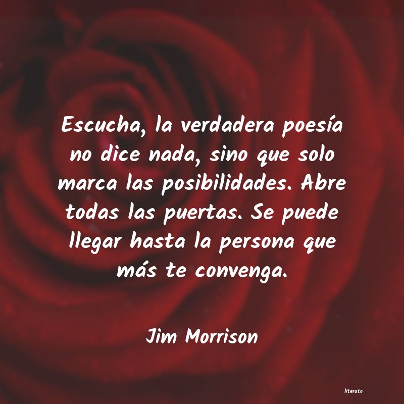 Frases de Jim Morrison