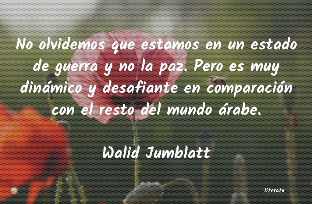 Frases de Walid Jumblatt