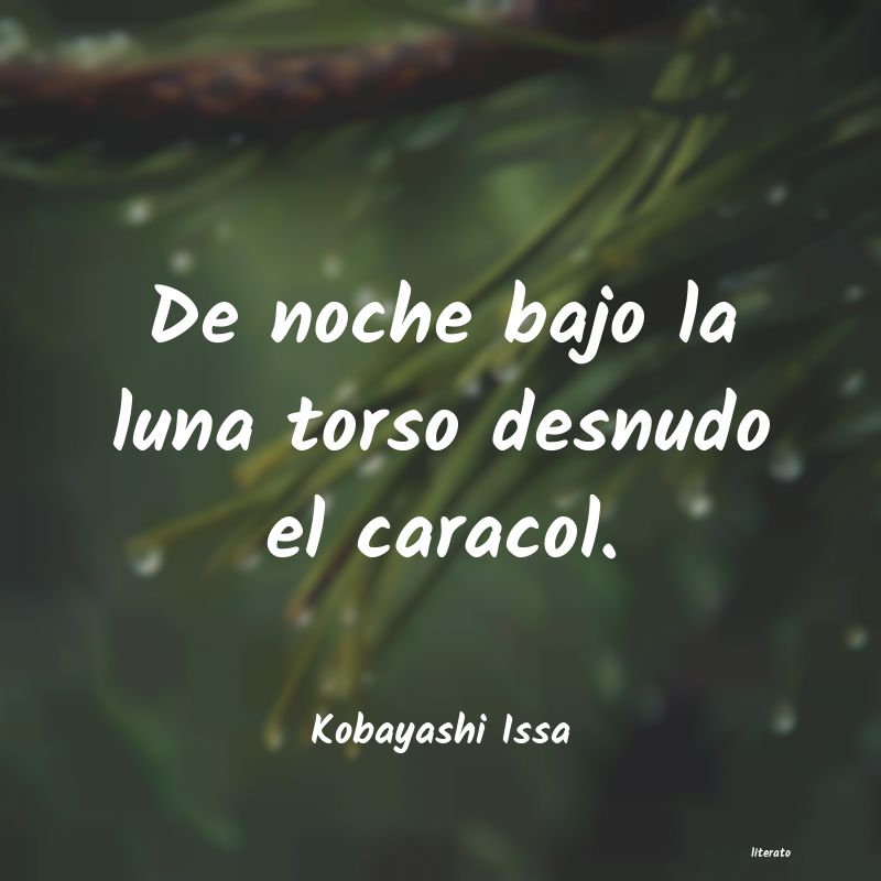 Frases de Kobayashi Issa