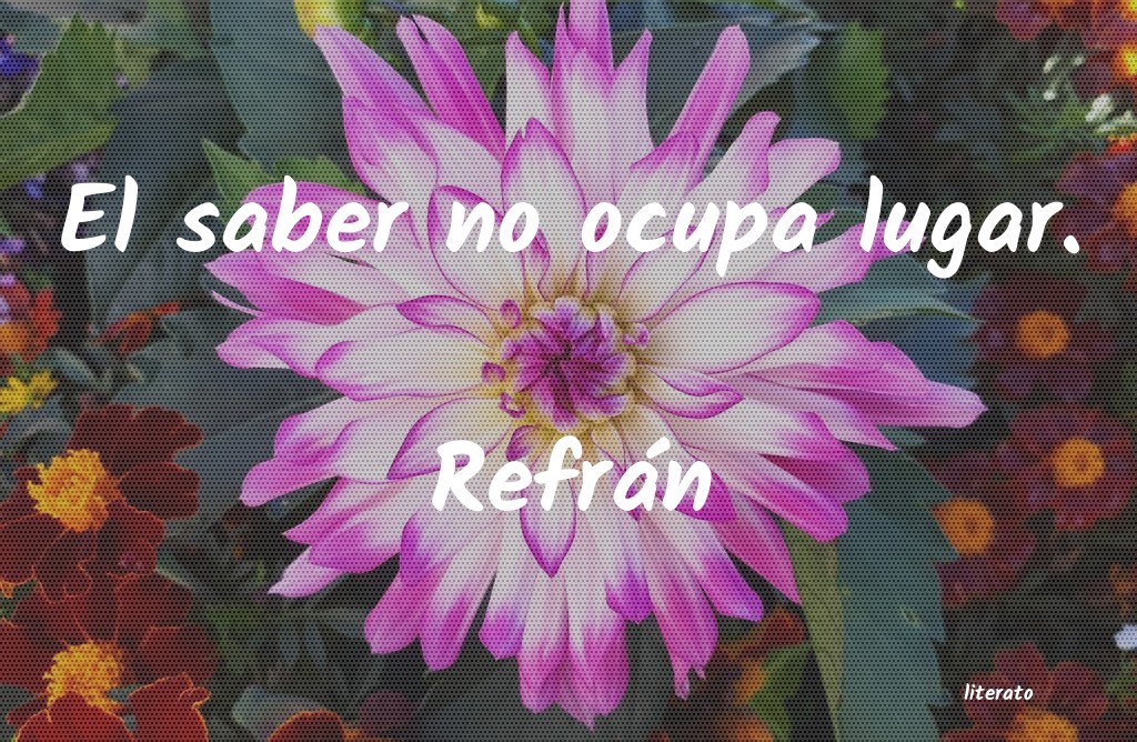 Frases de Refrán