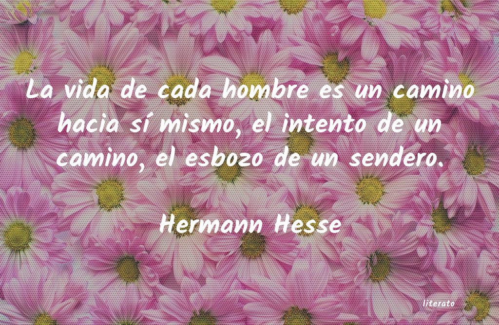 Frases de Hermann Hesse